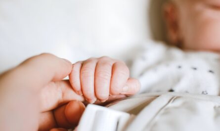 person holding baby s hand