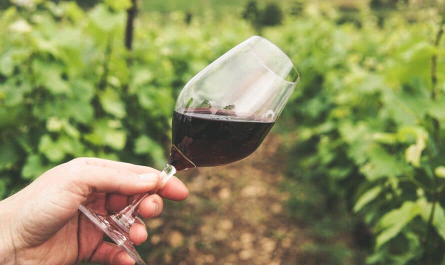 Verres à vin personnalisés : la nouvelle tendance !