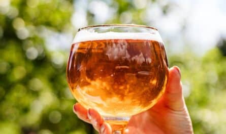 hand holding a glass full of beer
