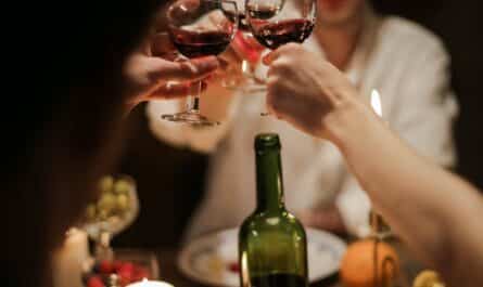 people holding wine glass with red wine