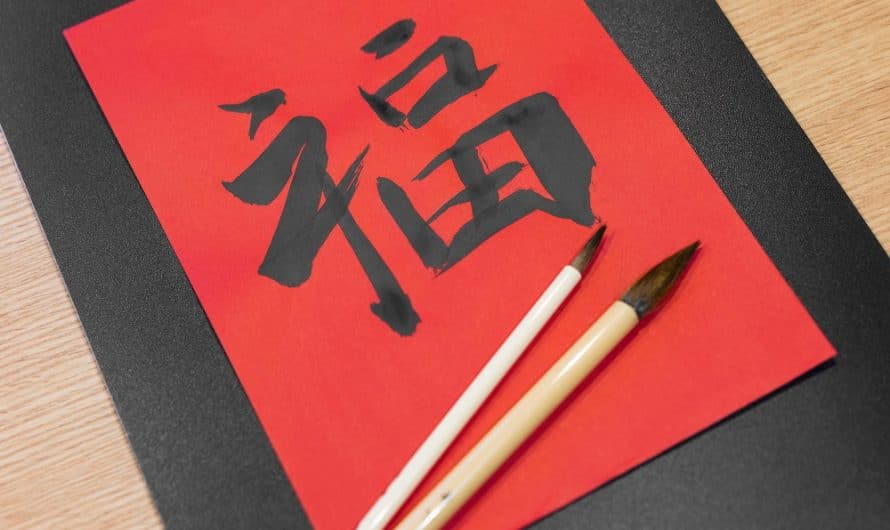 Pourquoi offrir un T-shirt de l’univers Mangas ?