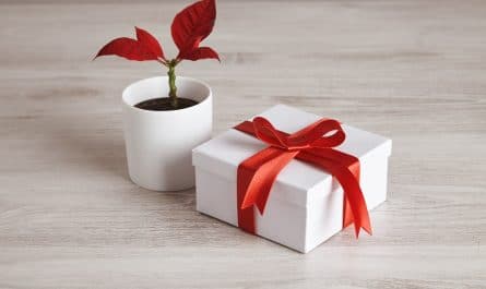Quelles idées de cadeau personnalisé pas cher à offrir à un proche ?