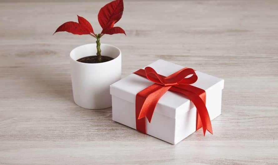 Quelles idées de cadeau personnalisé pas cher à offrir à un proche ?