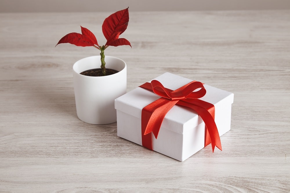 Quelles idées de cadeau personnalisé pas cher à offrir à un proche ?