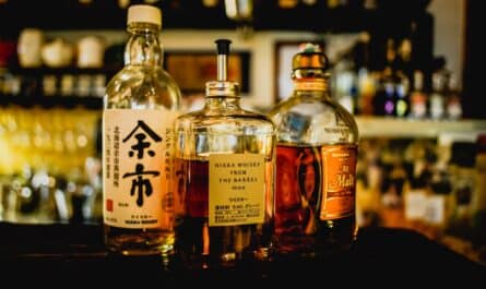alcohol alcohol bottles bar beverage