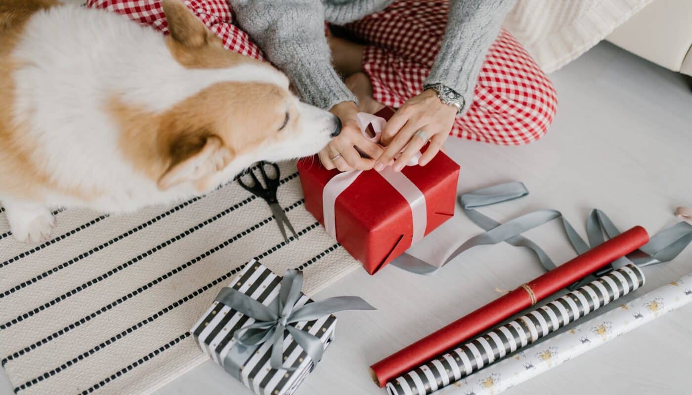 person wrapping a gift with the dog beside her