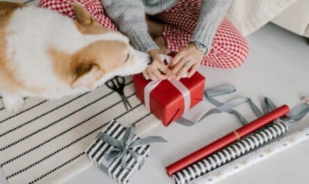 person wrapping a gift with the dog beside her