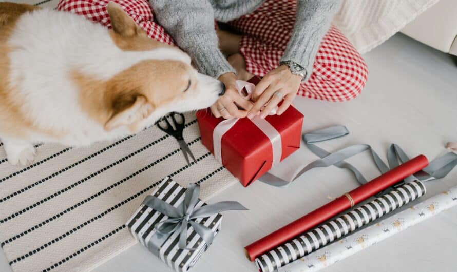 Offrez un cadeau personnalisé à votre chien !