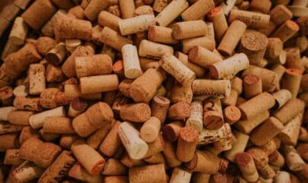 directly above view of corks